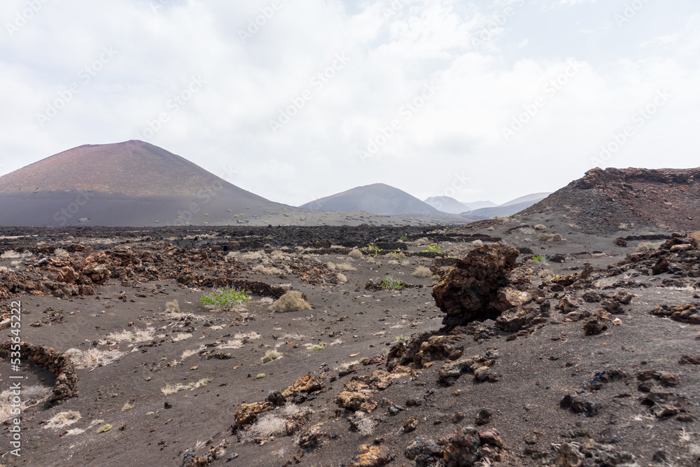 Typical landscape of the Canarian island of Lanzarote. Spain.