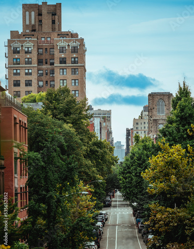 Photography central park city trees park New York trees buildings avenue street