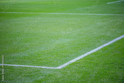 Maintenance of the lush green football field