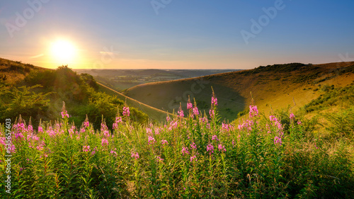Mid-summer sunset over the Meon Valley from Butser Hill, South Downs National Park, UK