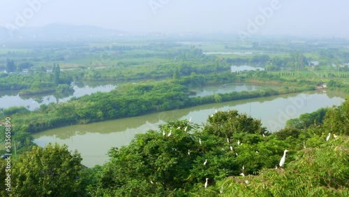 aerial view of wet land park in shaoxing,zhejiang photo