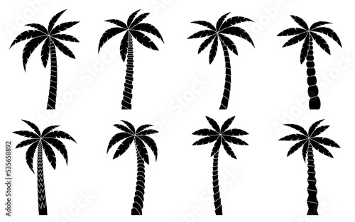 Palm tree black silhouette set. Beautiful tropical beach plant. Coconut jungle cultivated gardening. Exotic tree for natural vacation poster  exotic botany miami banner  Hawaiian travel tourism card