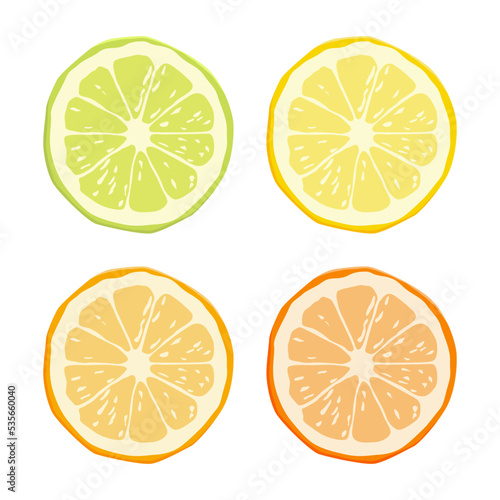 Vector Citrus Fruit Icon Set - Yellow Lemon, Green Lime, Orange Mandarin, Grapefruit Icon Set. Round Slice Design Elements Isolated on White Background