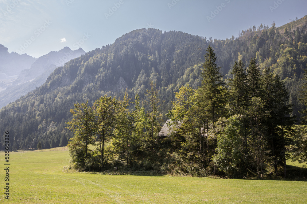 Selective blur on a typical alpine landscape, a mountain glade, a clearing field in the middle of an alpine forest of triglav national park in Zgornje Jezersko, in the julian alps in Slovenia