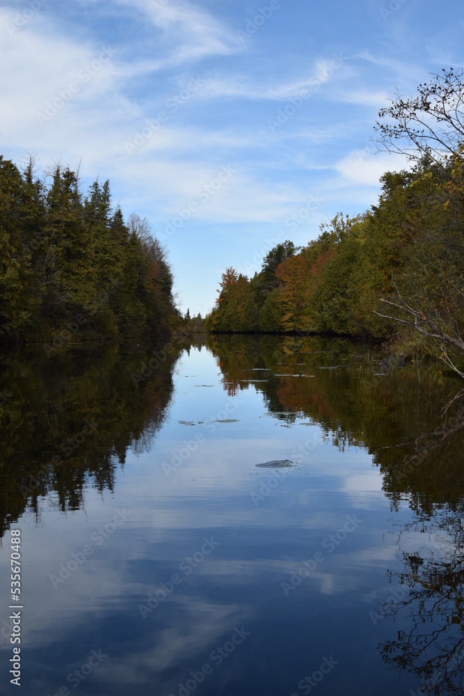 lake in the forest