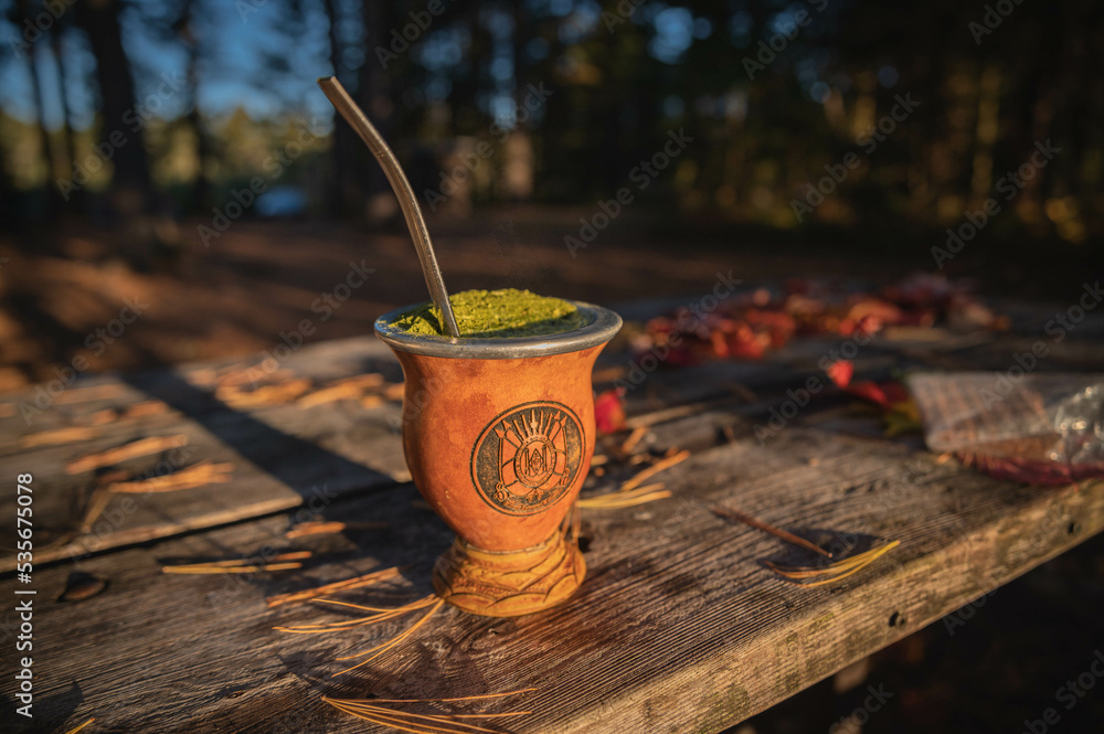 Traditional gaucho beverage / Chimarrão Gaúcho em cuia com o brasão do
