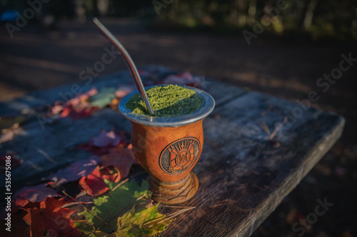 Obraz na plátne Traditional gaucho beverage / Chimarrão Gaúcho em cuia com o brasão do Rio Grand