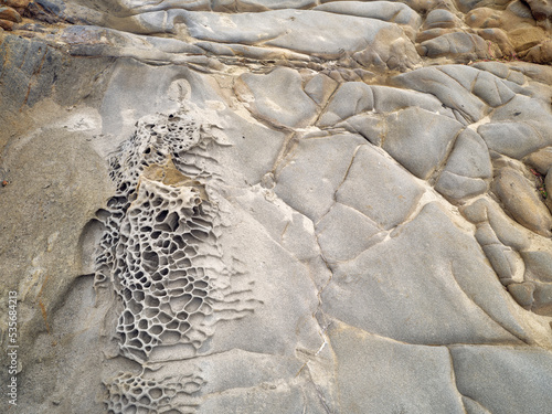 Tafoni and cavernous rock formation seascape