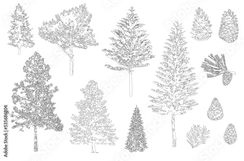 Pine set. Minimal style cad tree line, Side view, set of graphics trees elements outline symbol for architecture and landscape design drawing. Vector illustration in stroke fill in white. Tropical