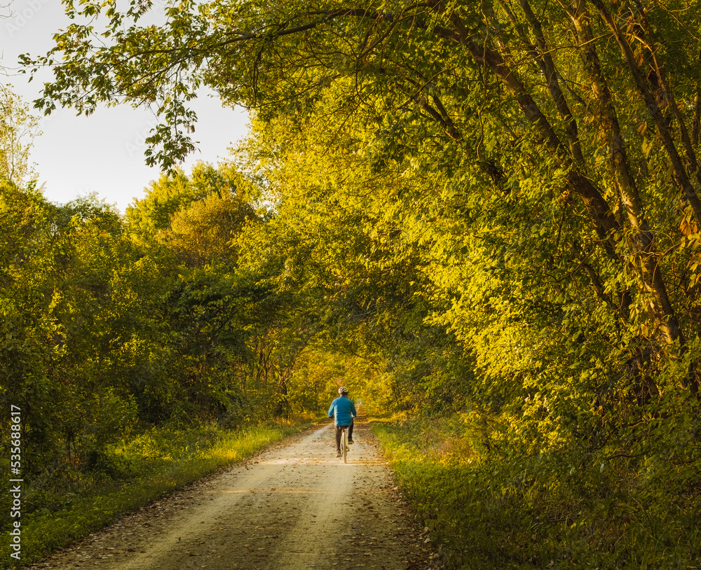 Man in blue jersey bicycling along Midwestern trail with trees on both sides  in autumn