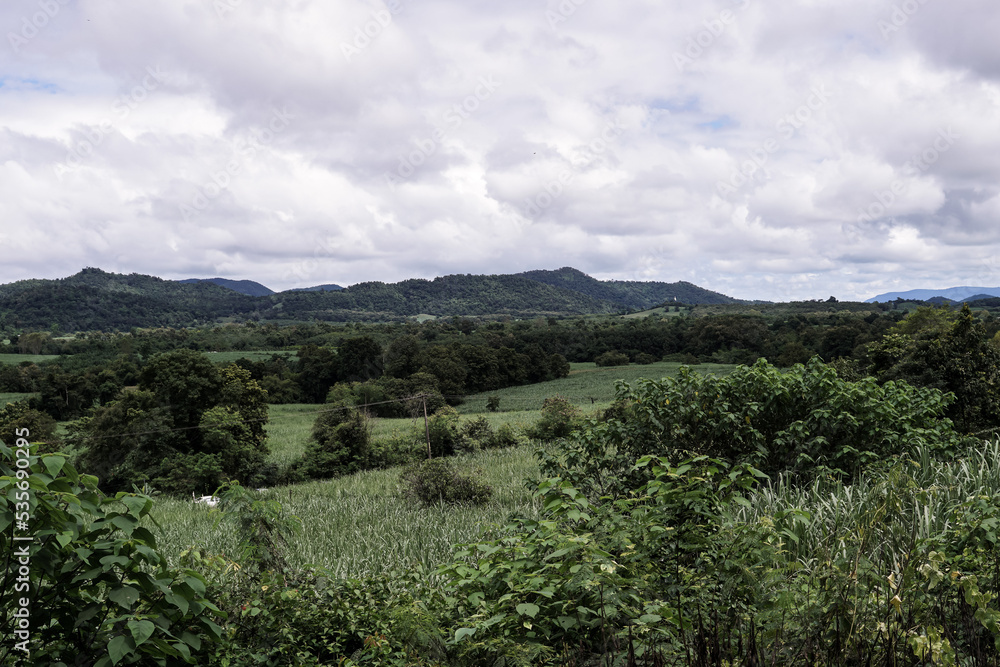 Mountains with morning fog look beautiful and peaceful in Phu Kradueng District of Thailand.