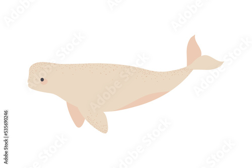 beluga isolated icon