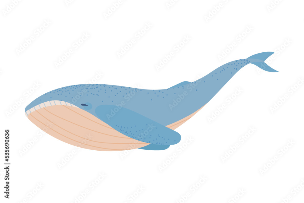 Obraz premium blue whale icon