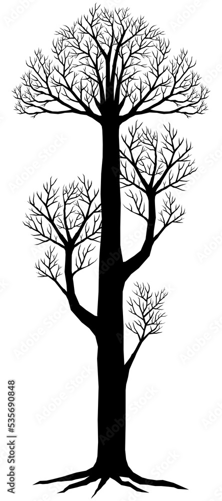 Obraz premium Black silhouette of spooky tree with leafless branches, halloween element.