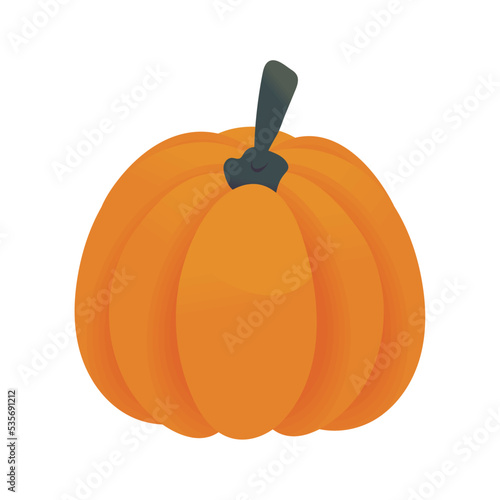 vegetable pumpkin icon