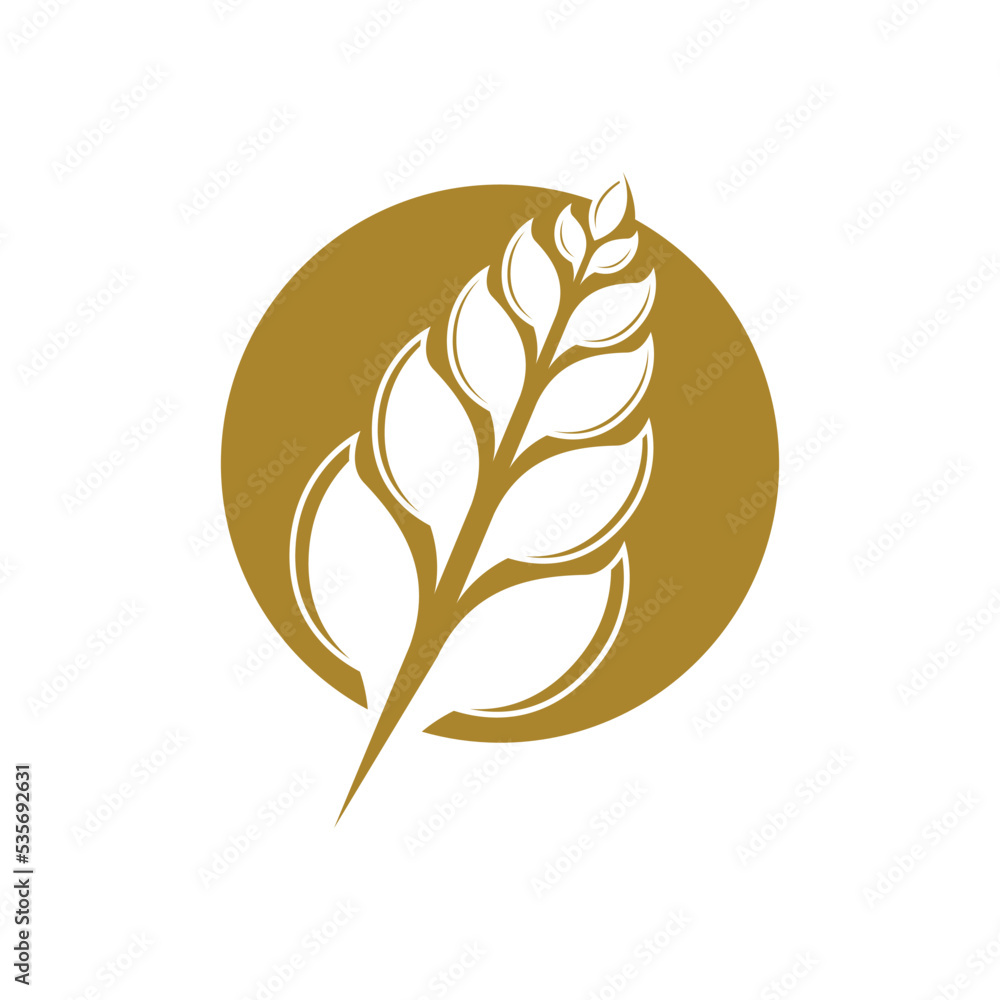 Wheat logo template vector icon Wheat logo template vector icon