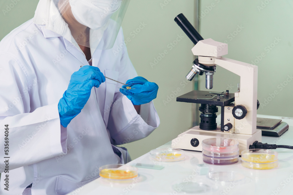 Close up Scientist woman hands look at Glass Petri Dish use Microscope research in science laboratory. Crop women hands biochemistry scientist using fungi Glass Petri Dish in laboratory chemistry lab Close up Scientist woman hands look at Glass Petri Dish use Microscope research in science laboratory. Crop women hands biochemistry scientist using fungi Glass Petri Dish in laboratory chemistry lab