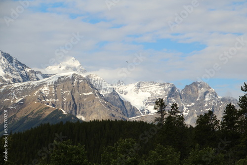 Snowy Ridge  Banff National Park  Alberta