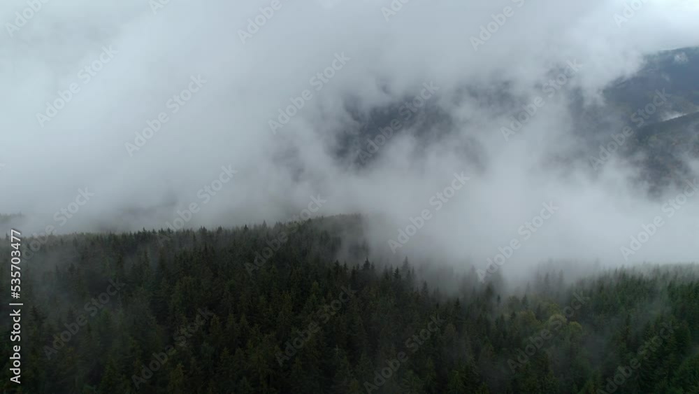 Aerial drone forward moving shot over dense forest on rainy day with thick fog at daytime. Aerial drone forward moving shot over dense forest on rainy day with thick fog at daytime.