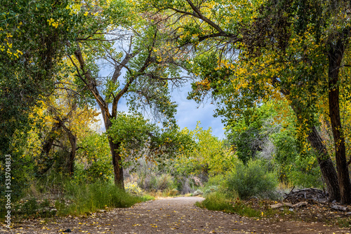 Leaves changing colors and colorful landscape