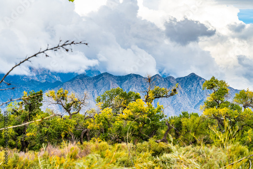 Leaves changing colors and colorful landscape