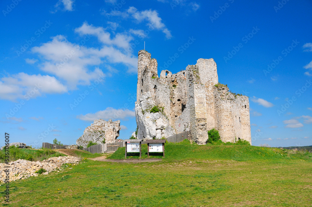 Ruins of 14th century castle located in the Mirow village, Silesian Voivodeship, Poland.