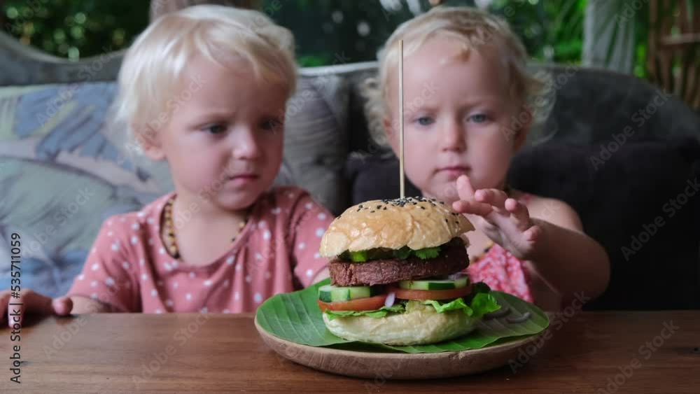 The twin girls in the cafe were given one big burger with a meat patty for two. Children see such food for the first time, they are interested and they touch it with their hands out of curiosity. The twin girls in the cafe were given one big burger with a meat patty for two. Children see such food for the first time, they are interested and they touch it with their hands out of curiosity.