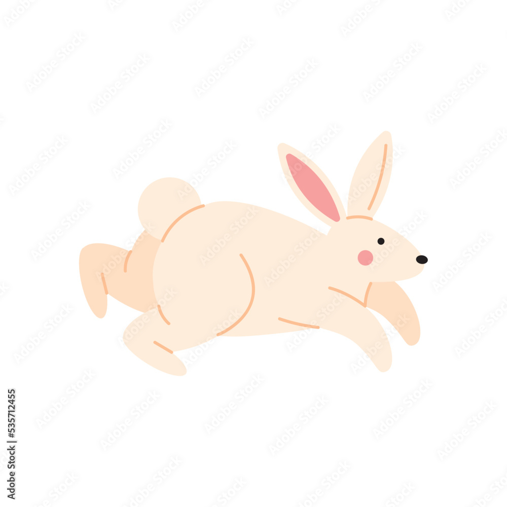cute little rabbit running cute little rabbit running