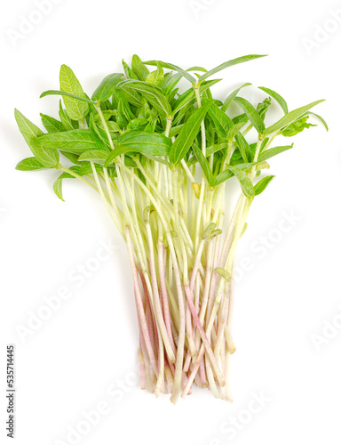 Mung bean microgreens, bunch of fresh and raw shoots of Vigna radiata, from above. Also known as green gram, maash, moong beans, monggo or munggo. Close up of young plants with green leaves and stems.