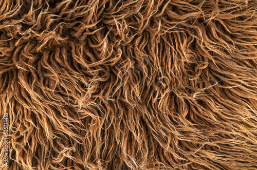 close up of brown fur