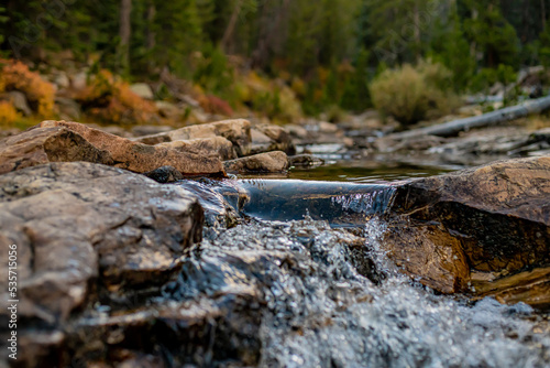 Photos The Flow in an Autumn's Forest