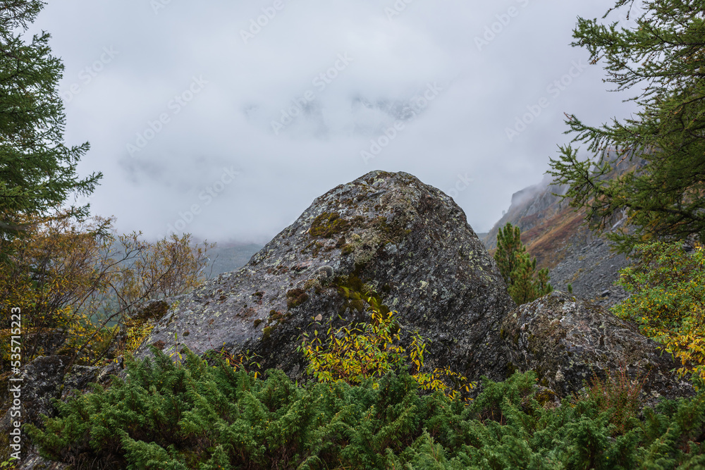 Beautiful mossy rock among lush autumn flora against foggy mountains in thick low clouds. Minimal view through forest hill to misty mountain range in dense fog. Fading autumn colors in high mountains. Beautiful mossy rock among lush autumn flora against foggy mountains in thick low clouds. Minimal view through forest hill to misty mountain range in dense fog. Fading autumn colors in high mountains.