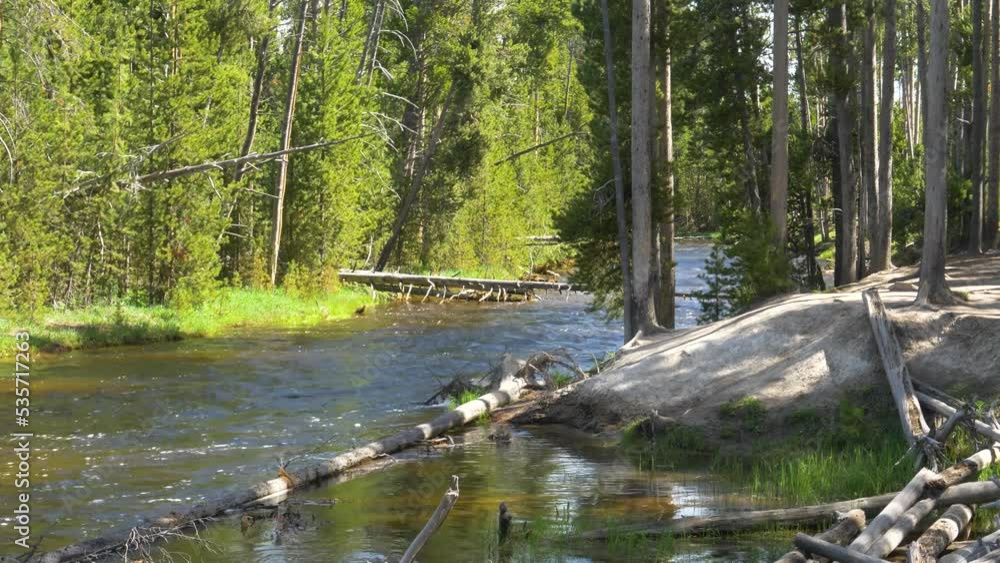 Calm river flowing through green forest in summer. Calm river flowing through green forest in summer.