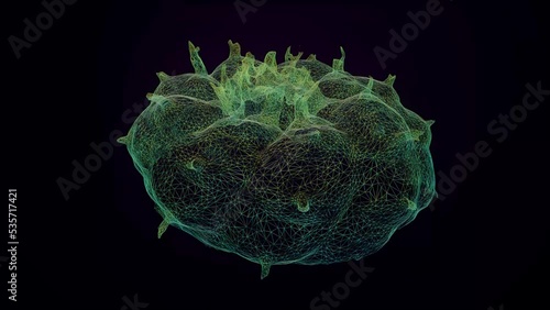 Peyote wireframe render HD 25fps