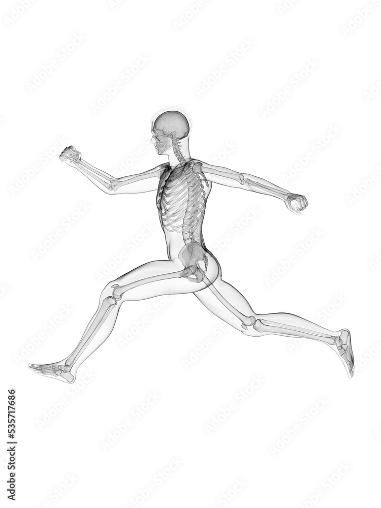 3d rendered medically accurate illustration of a man running 3d rendered medically accurate illustration of a man running