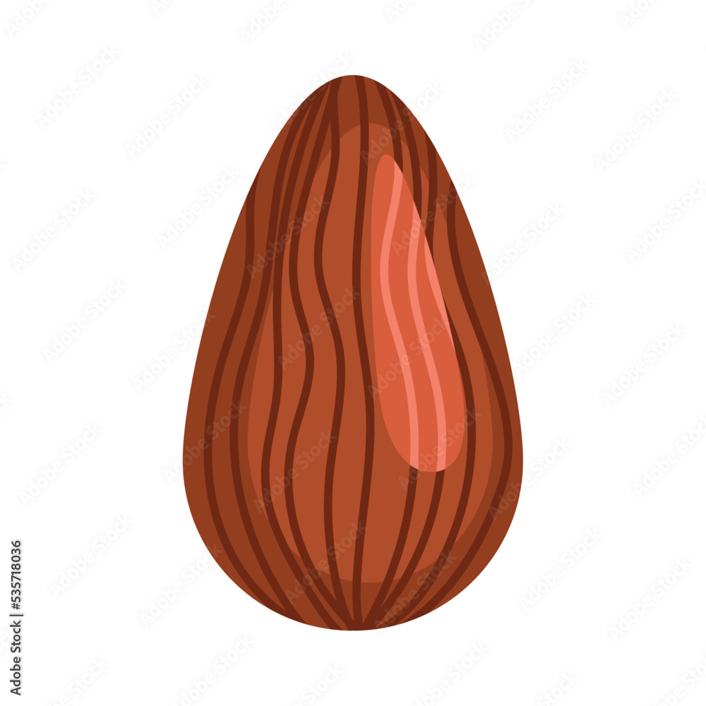almond nut seed icon almond nut seed icon