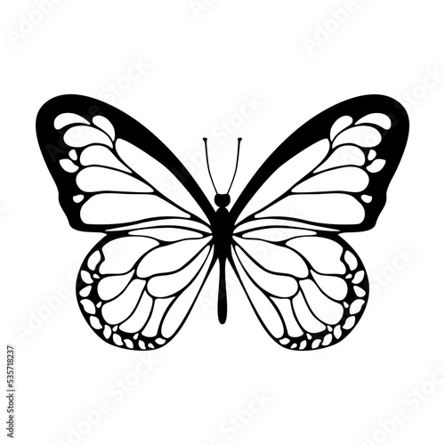 Butterfly Silhouette