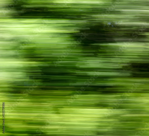 Green nature in summer in motion.