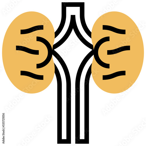 kidneys icon