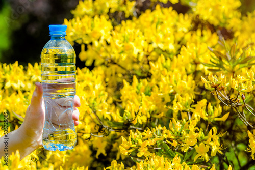 Girl holds a bottle of drinking water against the background of a blooming yellow rhododendron 