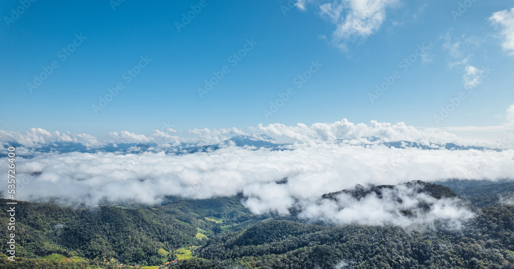 blue sky with clouds green forest in the morning