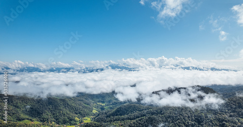 blue sky with clouds green forest in the morning