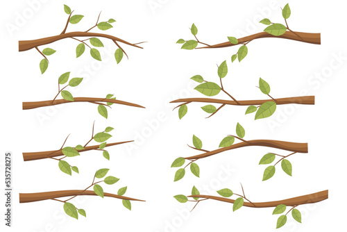 Set tree branches. Illustration of a tree branch with green leaves