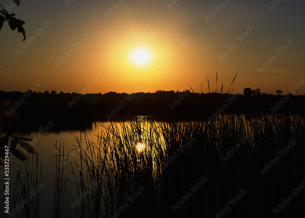 Summer sunset over a river with a blue sky in the background and bulrush leaves in the foreground in defocus Summer sunset over a river with a blue sky in the background and bulrush leaves in the foreground in defocus