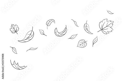 Leaves fall set in doodle style, vector illustration. Wave cold air during windy weather. Maple leaf outline for print and design. Isolated black element on white background. Autumn symbol nature