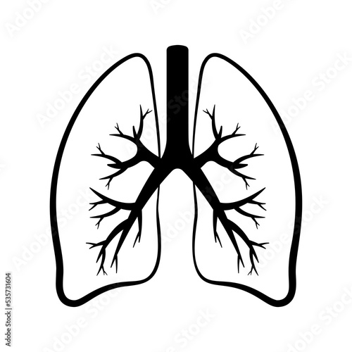 Vector illustration. lungs icon isolated on white background.
