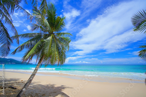 Fototapeta Naklejka Na Ścianę i Meble -  Palm beach. Coconut tree leaf shadows sandy clouds good summer. 