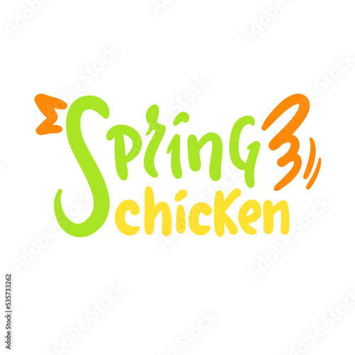 Spring chicken - simple inspire motivational quote. Youth slang, idiom. Hand drawn lettering. Print for inspirational poster, t-shirt, bag, cups, card, flyer, sticker, badge. Cute funny vector writing