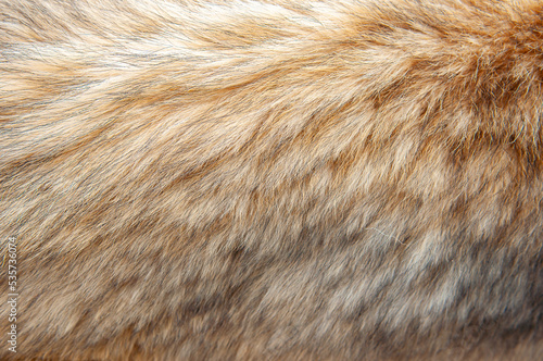 Beautiful spotted fur close-up. Texture of brown animal wool. Dog fur.