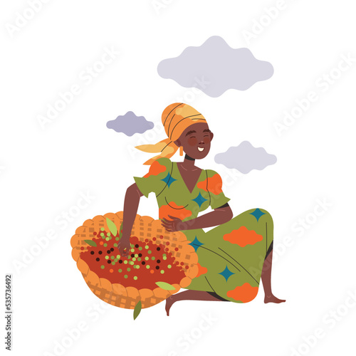 Woman Character Harvesting Coffee Picking Fresh Fruit in Basket Vector Illustration